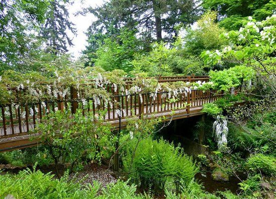 Elk Rock Gardens of the Bishop's Close